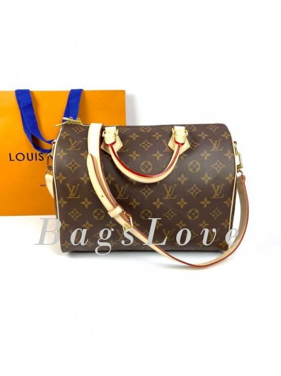 Женская сумка Louis Vuitton B108044