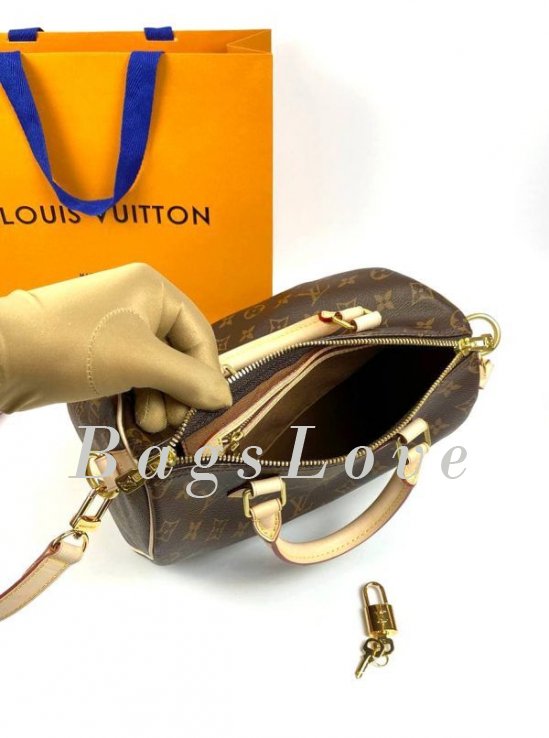 Женская сумка Louis Vuitton B108044