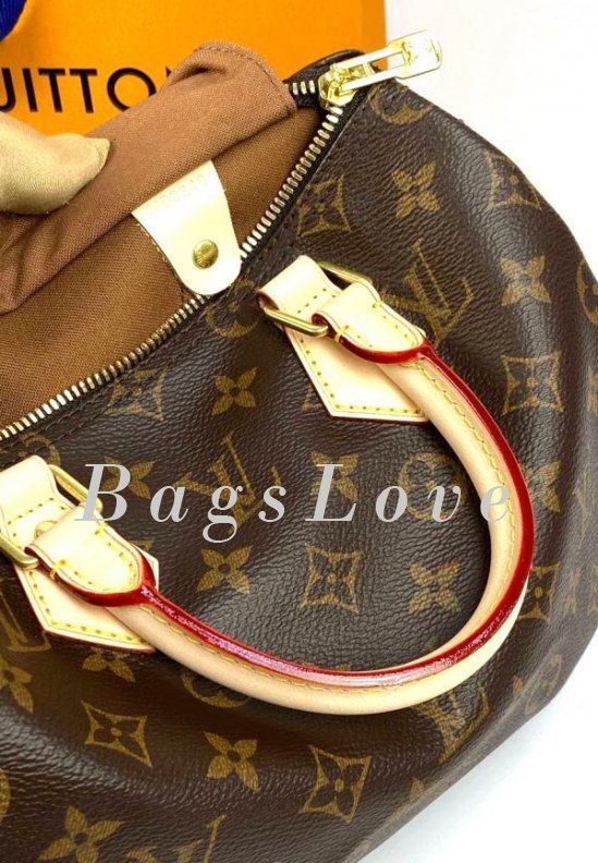 Женская сумка Louis Vuitton B108044