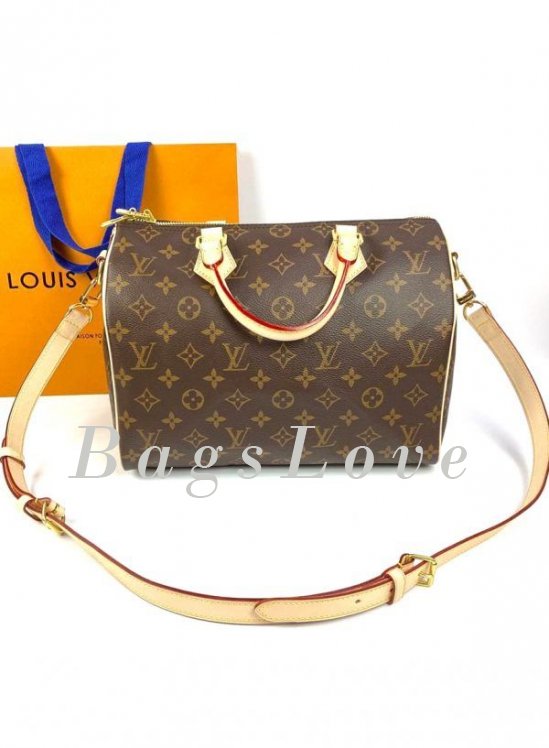Женская сумка Louis Vuitton B108044