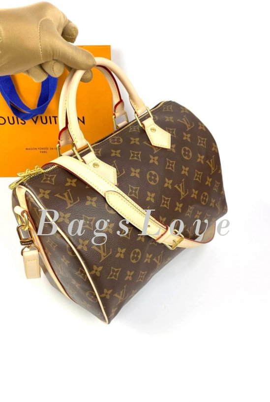 Женская сумка Louis Vuitton B108044