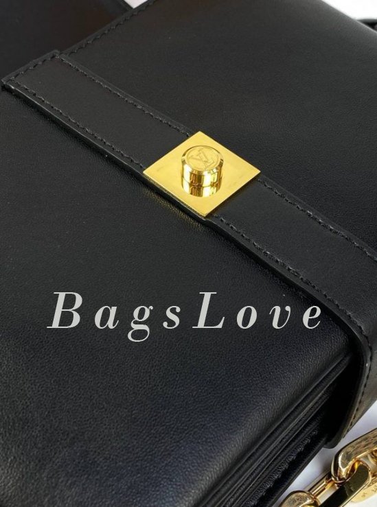 Женская сумка Louis Vuitton B108054