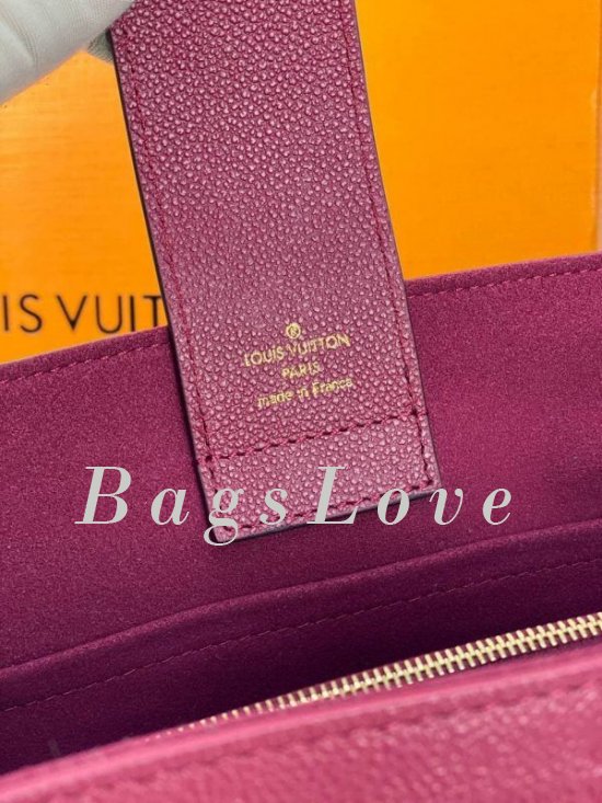 Женская сумка Louis Vuitton B108058