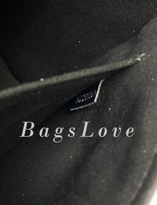 Женская сумка Louis Vuitton B108063