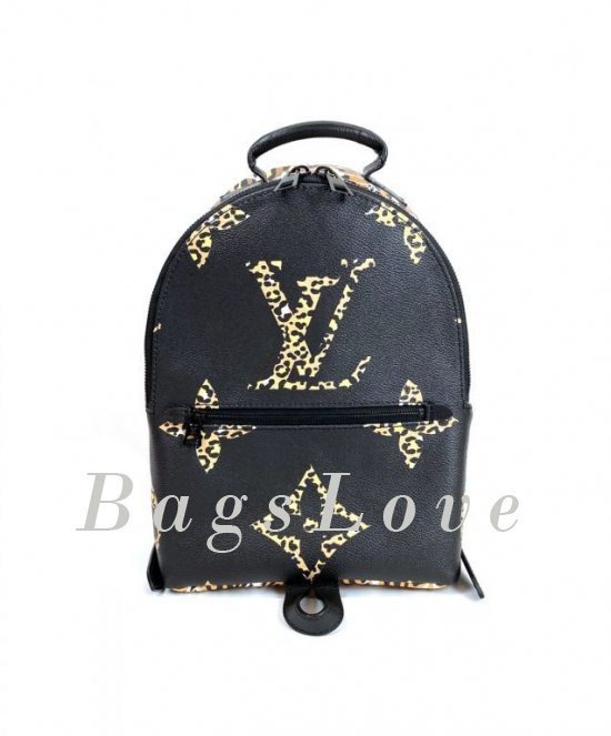 Женский рюкзак Louis Vuitton B108084