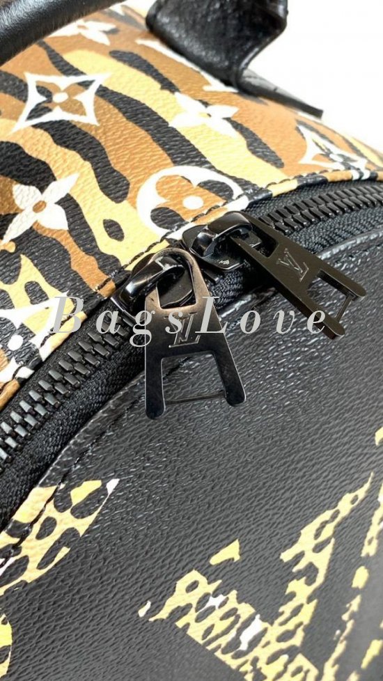 Женский рюкзак Louis Vuitton B108084
