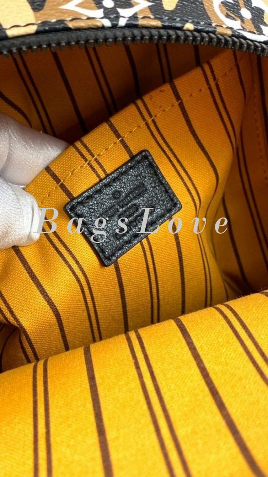 Женский рюкзак Louis Vuitton B108084