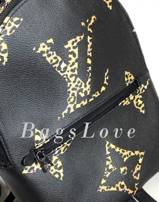 Женский рюкзак Louis Vuitton B108084
