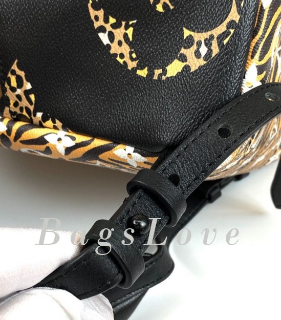 Женский рюкзак Louis Vuitton B108084