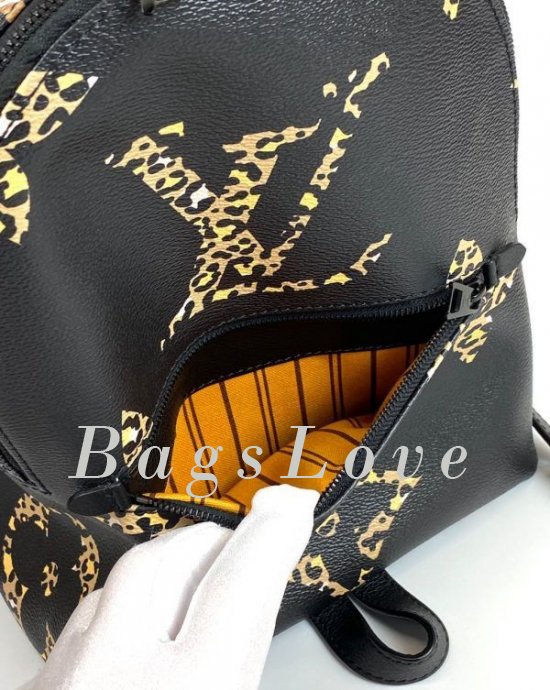 Женский рюкзак Louis Vuitton B108084