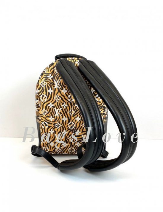 Женский рюкзак Louis Vuitton B108084