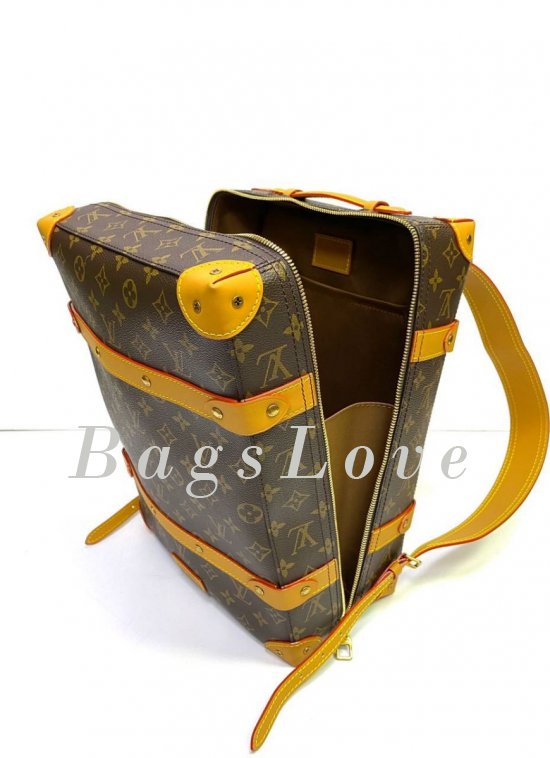 Мужской рюкзак Louis Vuitton B108086