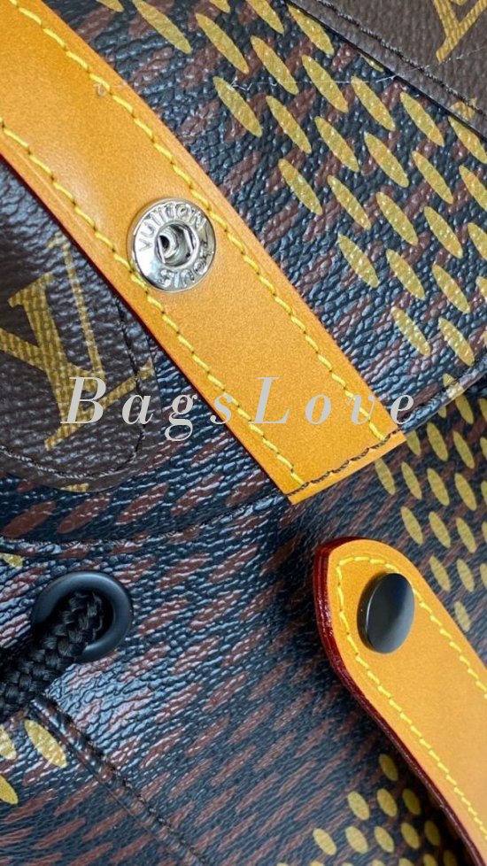 Мужской рюкзак Louis Vuitton B108088