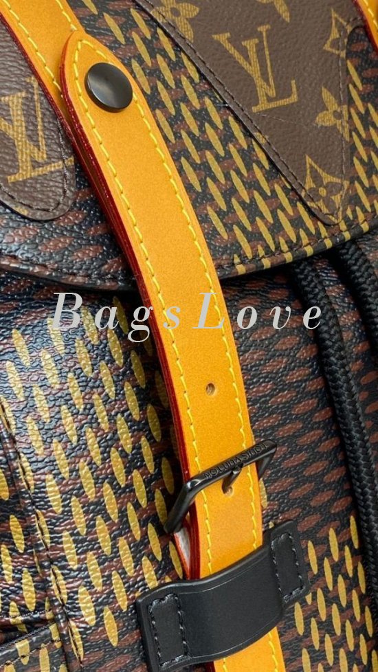 Мужской рюкзак Louis Vuitton B108088