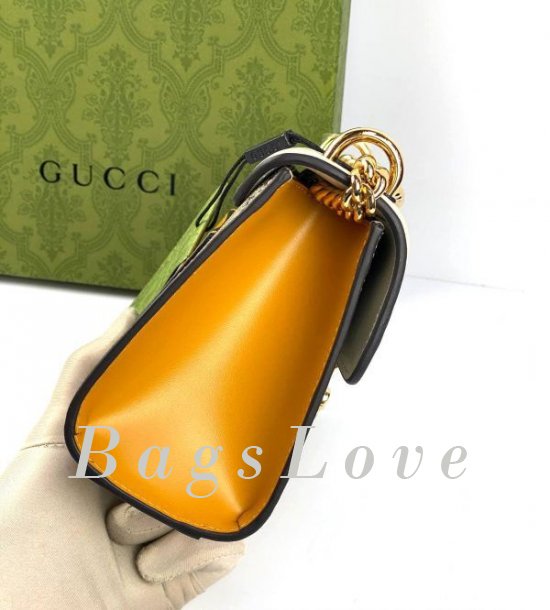 Женская сумка Gucci B108220