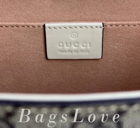 Женская сумка Gucci B108220
