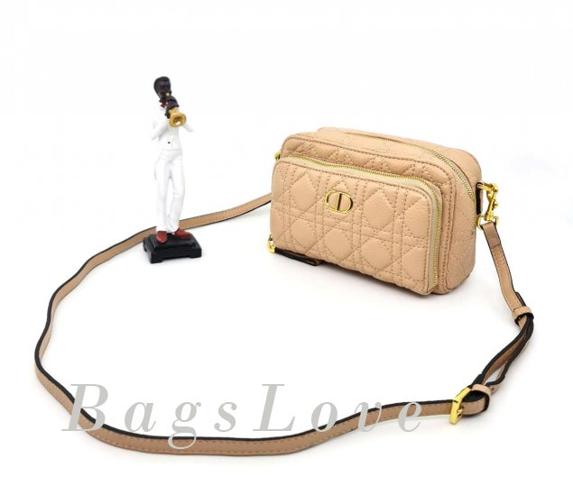 Женская сумка Christian Dior B108225