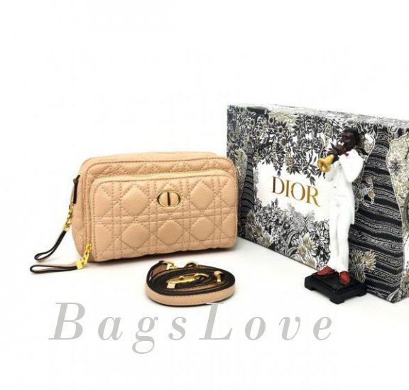 Женская сумка Christian Dior B108225