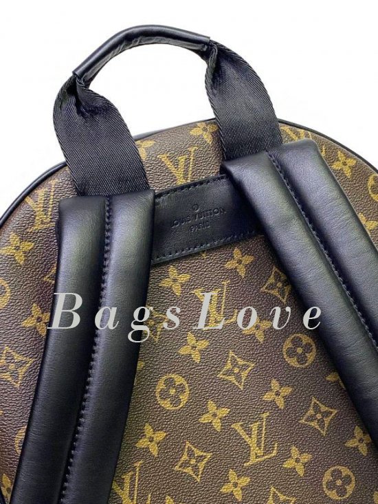 Рюкзак Louis Vuitton B108228