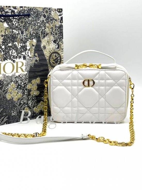 Сумка Dior B108309