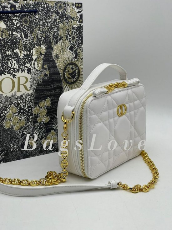 Сумка Dior B108309