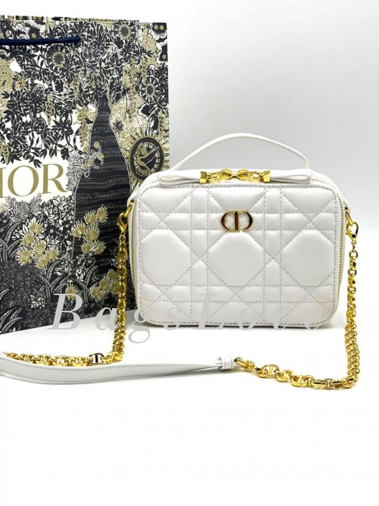 Сумка Dior B108309