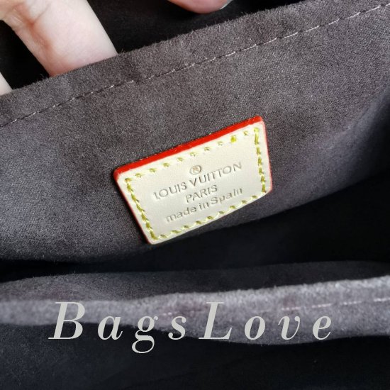 Сумка Louis Vuitton B108456