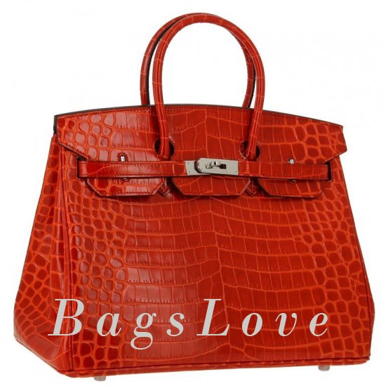 Женская сумка Hermes (Гермес) B103041 