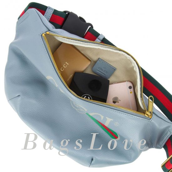 Женская сумка Gucci (Гуччи) B103227 