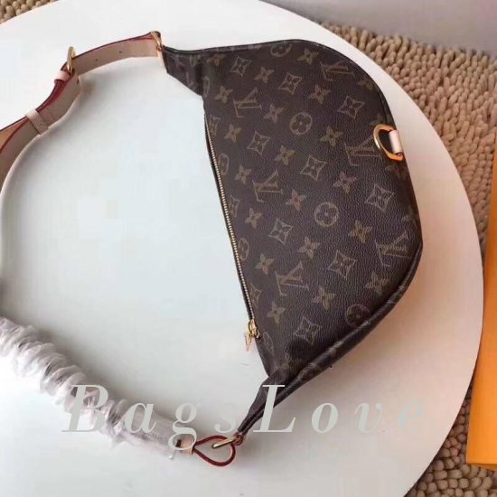 Женская сумка Louis Vuitton (Луи Виттон) B103231 