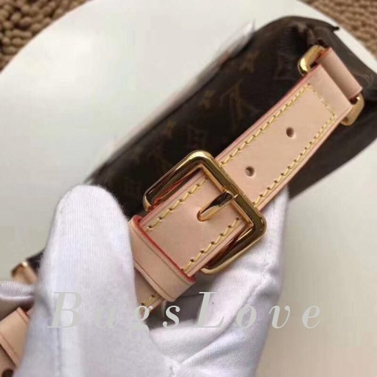 Женская сумка Louis Vuitton (Луи Виттон) B103231 