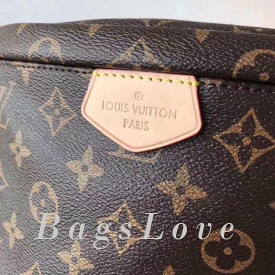 Женская сумка Louis Vuitton (Луи Виттон) B103231 