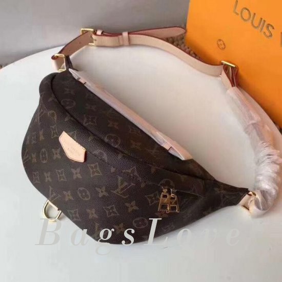 Женская сумка Louis Vuitton (Луи Виттон) B103231 