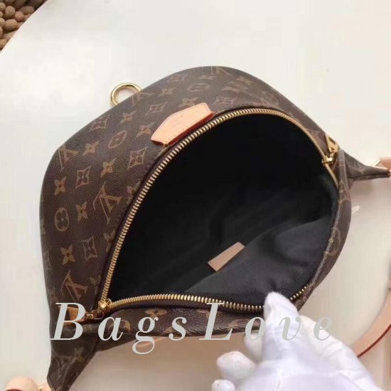 Женская сумка Louis Vuitton (Луи Виттон) B103231 