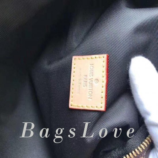 Женская сумка Louis Vuitton (Луи Виттон) B103231 