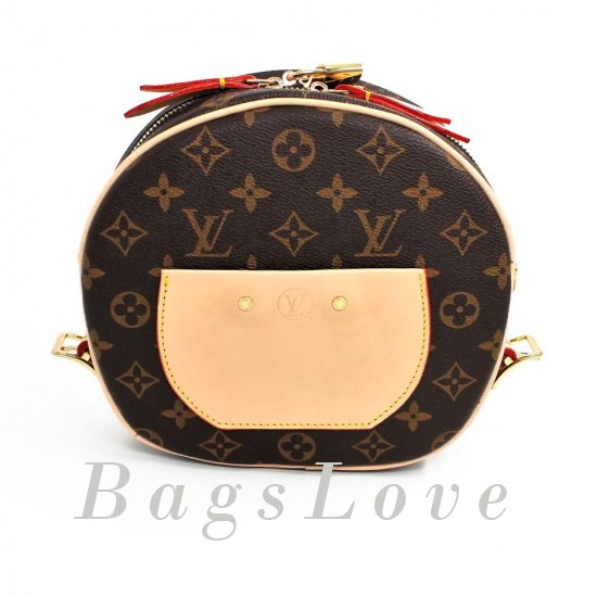 Женская сумка Louis Vuitton (Луи Виттон) B103571 