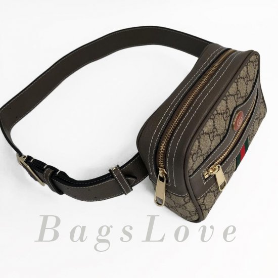 Женская сумка Gucci (Гуччи) B103603