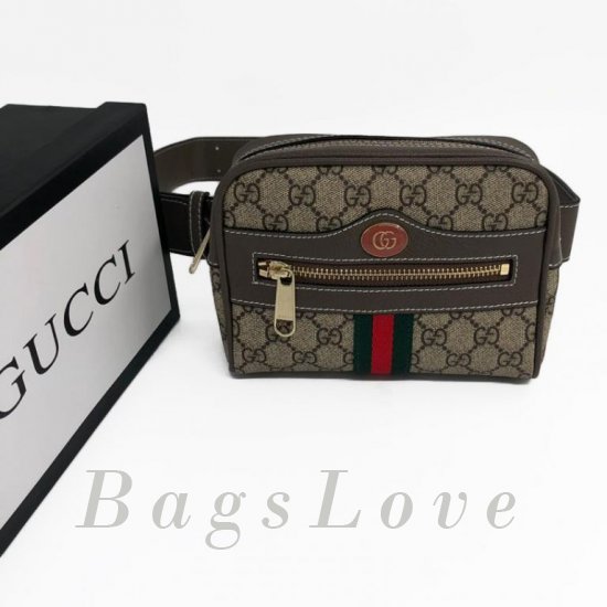 Женская сумка Gucci (Гуччи) B103603
