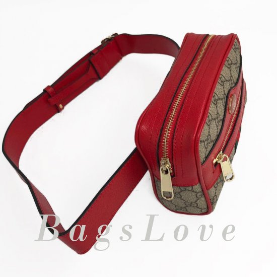 Женская сумка Gucci (Гуччи) B103604