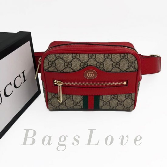 Женская сумка Gucci (Гуччи) B103604