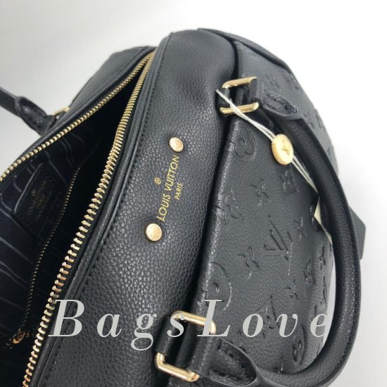 Женская сумка Louis Vuitton (Луи Виттон) B104125