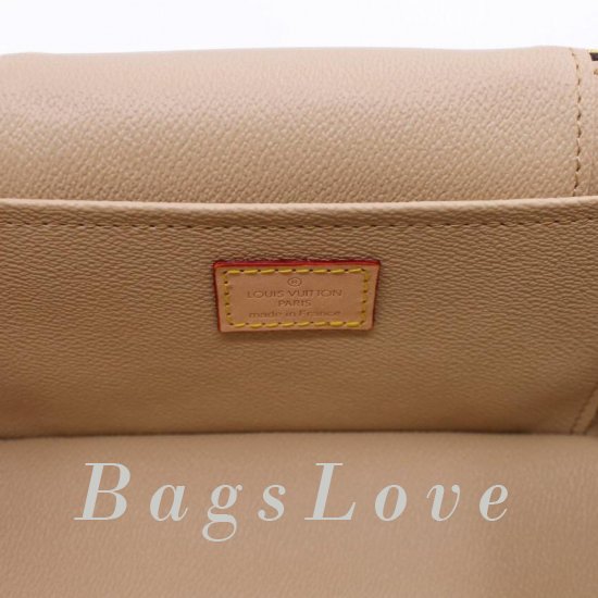 Женская сумка Louis Vuitton (Луи Виттон) B104441