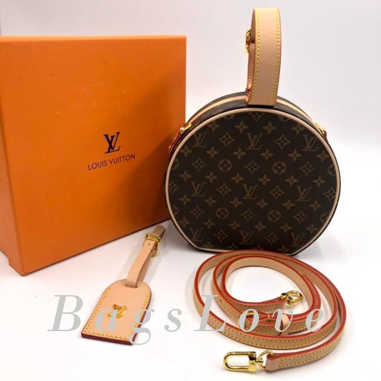 Женская сумка Louis Vuitton (Луи Виттон) B104564