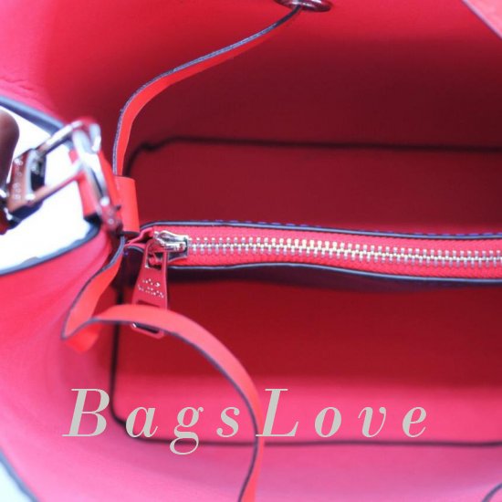 Женская сумка Louis Vuitton (Луи Виттон) B104834