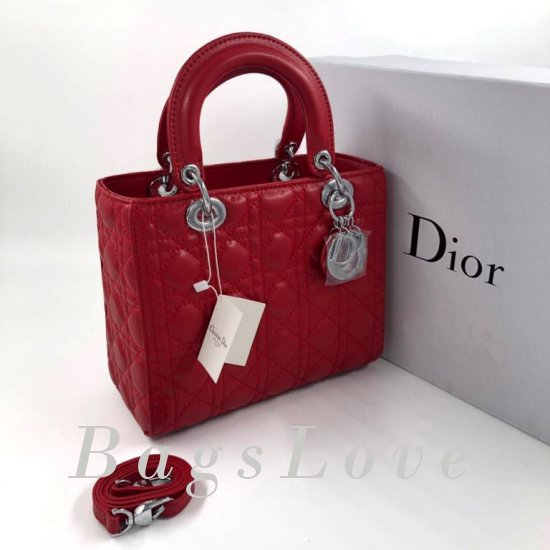 Женская сумка Christian Dior (Кристиан Диор) B105083
