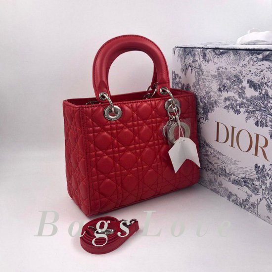Женская сумка Christian Dior (Кристиан Диор) B105083
