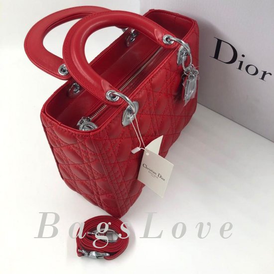 Женская сумка Christian Dior (Кристиан Диор) B105083