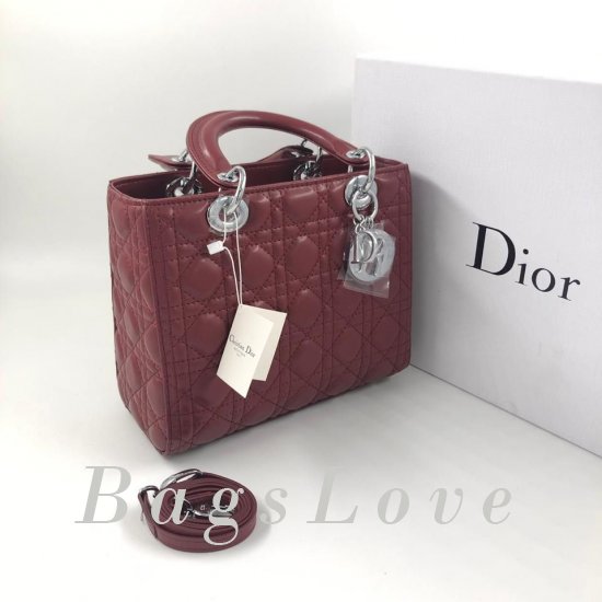 Женская сумка Christian Dior (Кристиан Диор) B105084