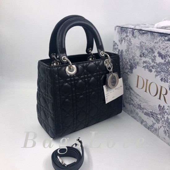 Женская сумка Christian Dior (Кристиан Диор) B105086