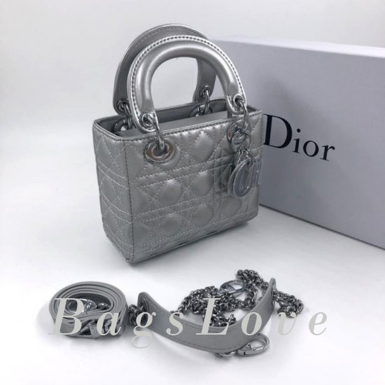 Женская сумка Christian Dior (Кристиан Диор) B105088